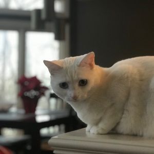 Meet your Posher, Kara